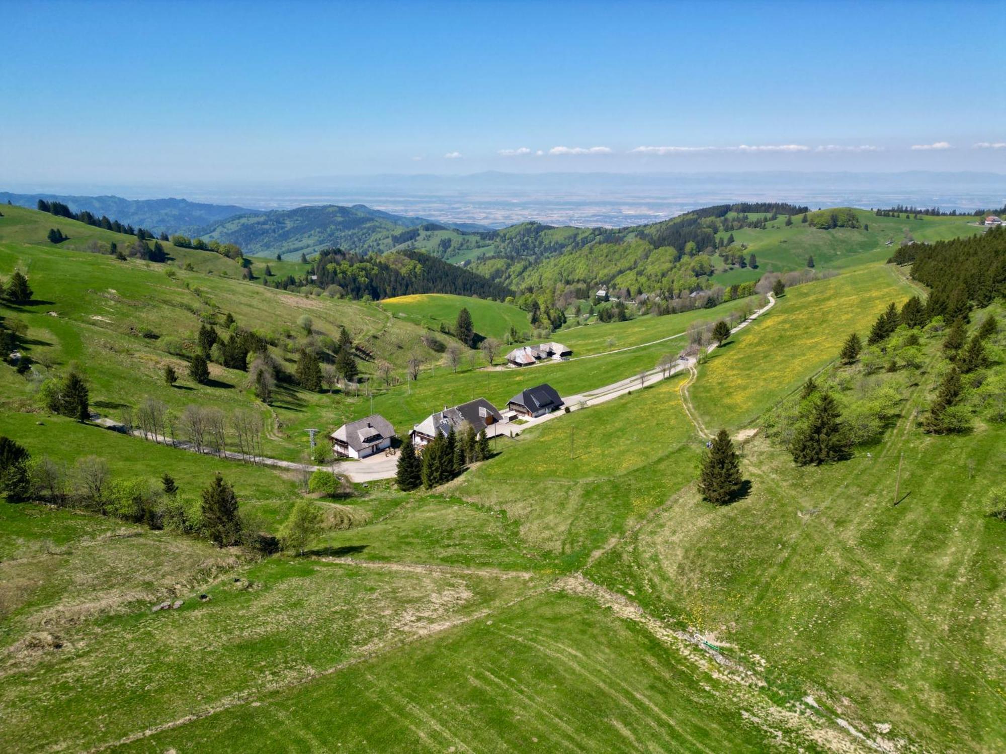 View House, Schauinsland, Black Forest Münstertal Eksteriør billede